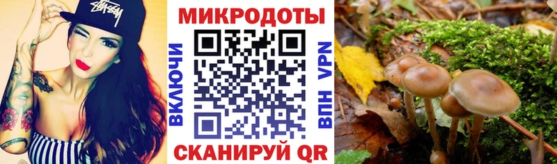 ОМГ ОМГ маркетплейс  Бологое  Галлюциногенные грибы Cubensis 